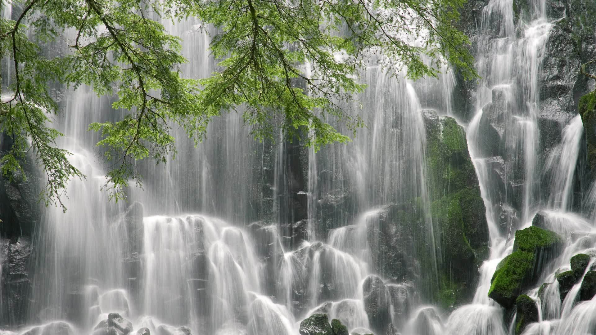 世界排球联赛:攻防转换速度成为球队竞争力标志,世界排球联赛用球